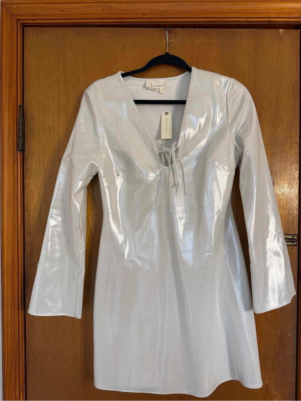 Anthropologie Metallic Silver Mini Dress — NWT